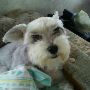 Meet your Posher, Glenda